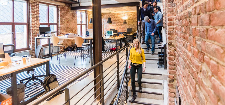 Verzekering bedrijf Verzekering bedrijf